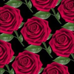 Meet your Posher, Rose